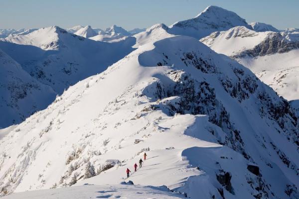 两名滑雪者，在周末的雪崩中被埋，被朋友救了:加拿大雪崩